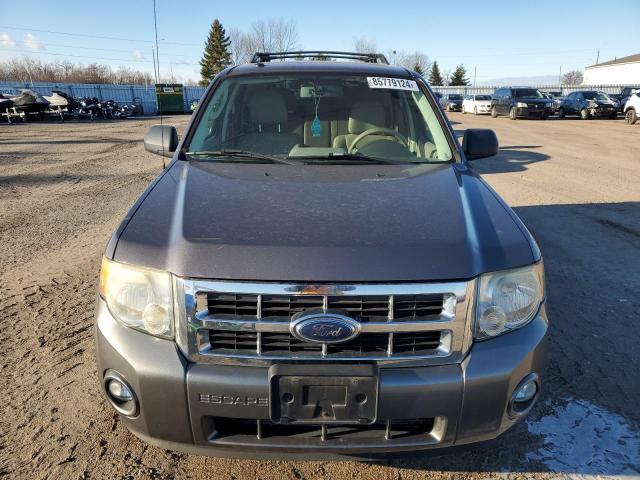 2010 FORD ESCAPE XLT