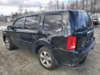 2015 Honda Pilot Se na sprzedaż w Waldorf, MD - Rear End