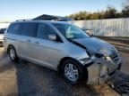 Midway, FL에서 판매 중인 2006 Honda Odyssey Exl - Front End