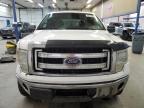 2014 Ford F150 Supercrew for Sale in Pasco, WA - Front End