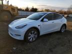 2023 Tesla Model Y  for Sale in Windsor, NJ - Frame Damage