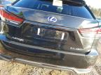 2022 LEXUS RX 450H F for sale at Copart COLCHESTER