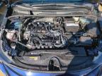 2024 Toyota Corolla Le na sprzedaż w Fort Pierce, FL - Water/Flood