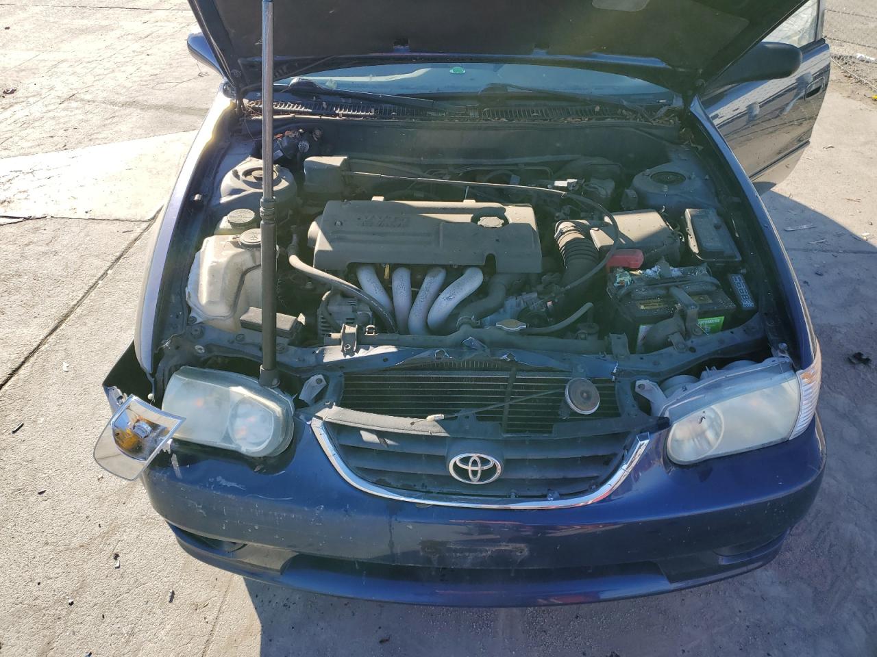 2002 Toyota Corolla - Image 11