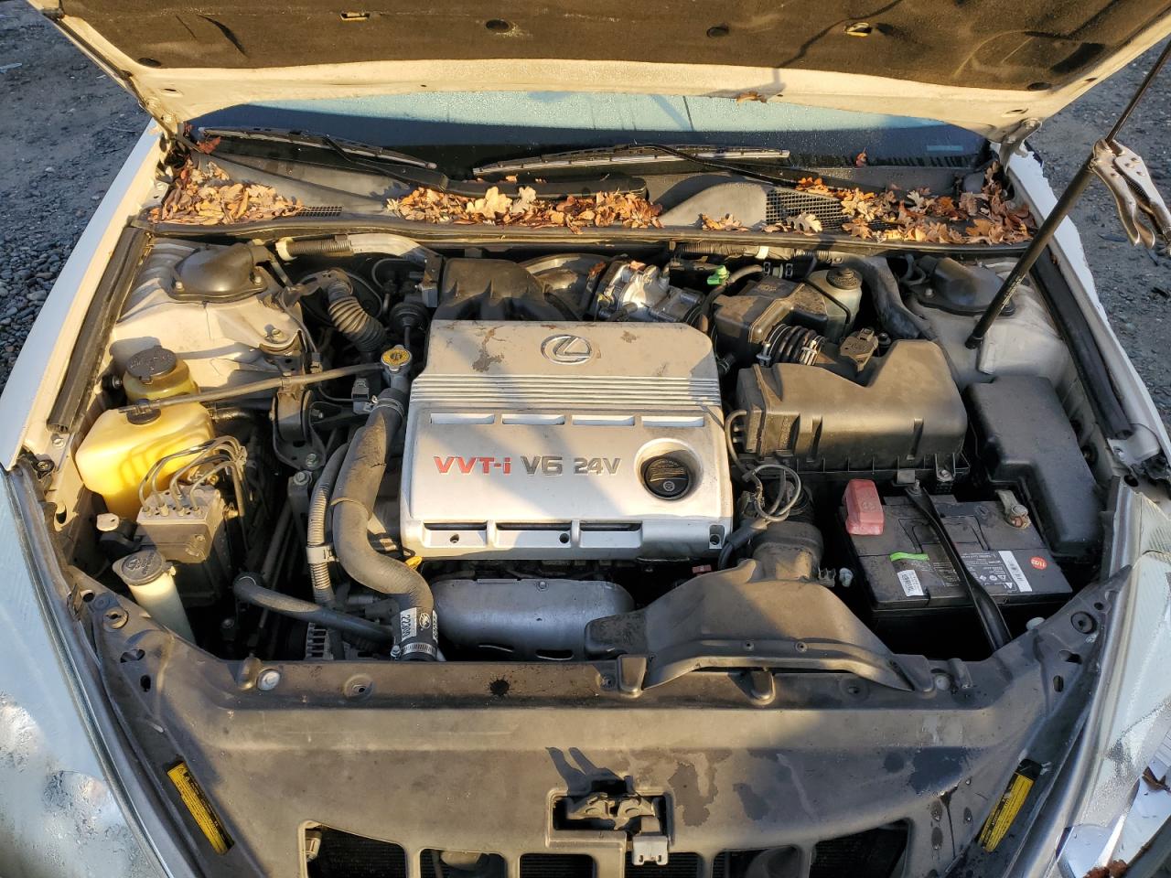 2002 Lexus Es 300 VIN: JTHBF30GX20053330 Lot: 85704744