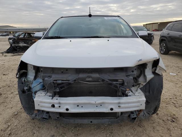  FORD EDGE 2013 Білий