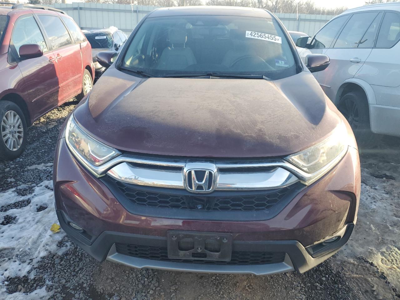 2019 Honda CR-V - Image 5