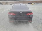 2016 Kia Optima Ex продається в Concord, NC - Rear End