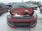 2016 Ford Escape Se en Venta en Wayland, MI - Front End