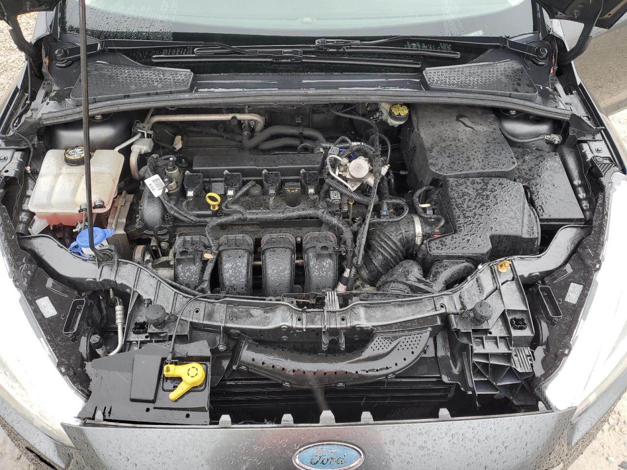 2016 Ford Focus - Image 12