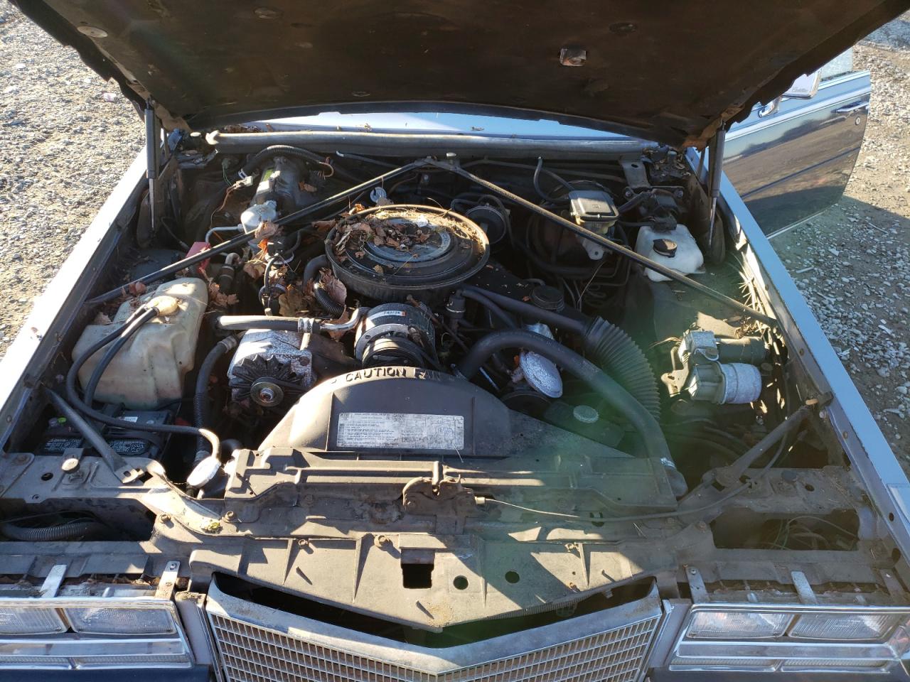 1984 Cadillac Seville VIN: 1G6AS6987EE810927 Lot: 42836105