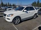 2014 Mercedes-Benz Ml 350 4Matic en Venta en Rancho Cucamonga, CA - Rear End