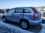 2007 Honda Cr-V Lx zu verkaufen in Hillsborough, NJ - Side