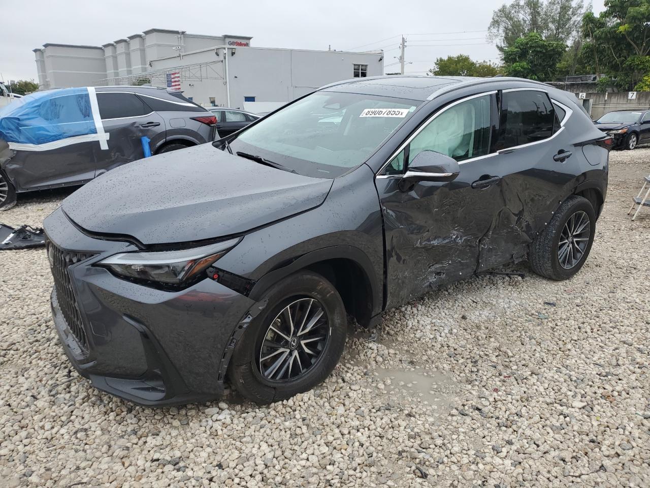 2024 Lexus NX - Image 1