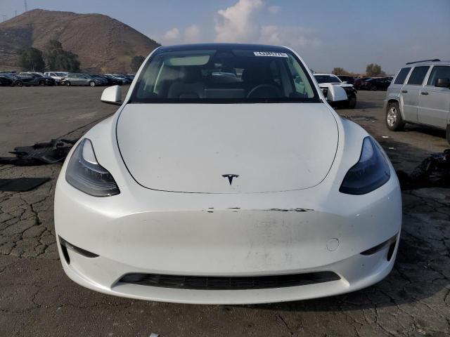  TESLA MODEL Y 2023 White