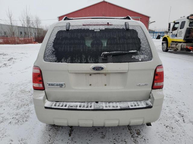 2009 FORD ESCAPE XLT