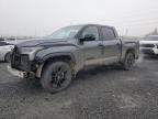 2024 Toyota Tundra Crewmax Limited for Sale in Eugene, OR - All Over