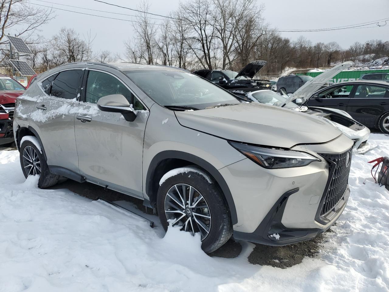 2023 Lexus NX - Image 4