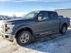 2016 Ford F150 Supercrew продається в Rocky View County, AB - Hail