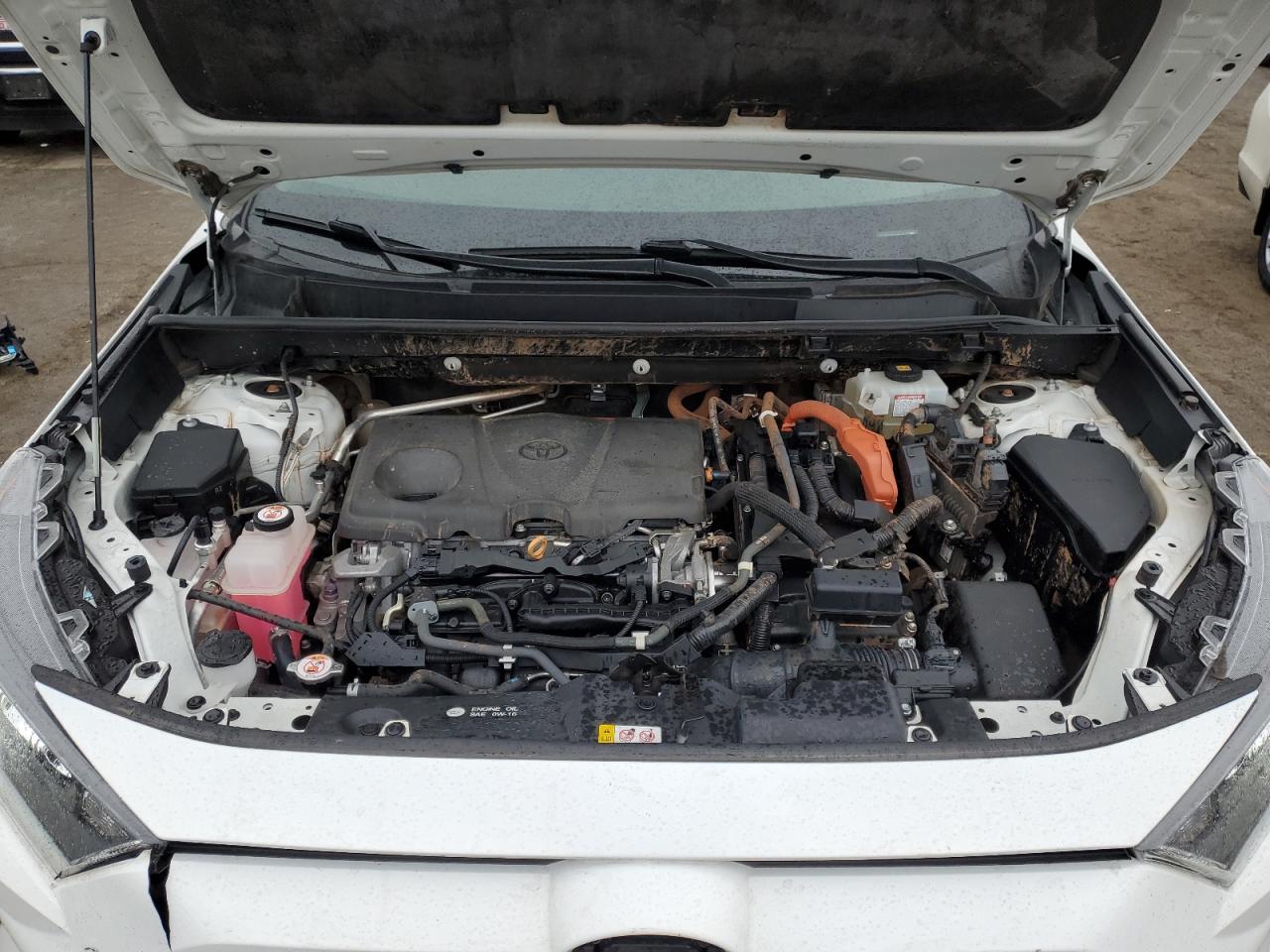 2020 Toyota RAV 4 - Image 12