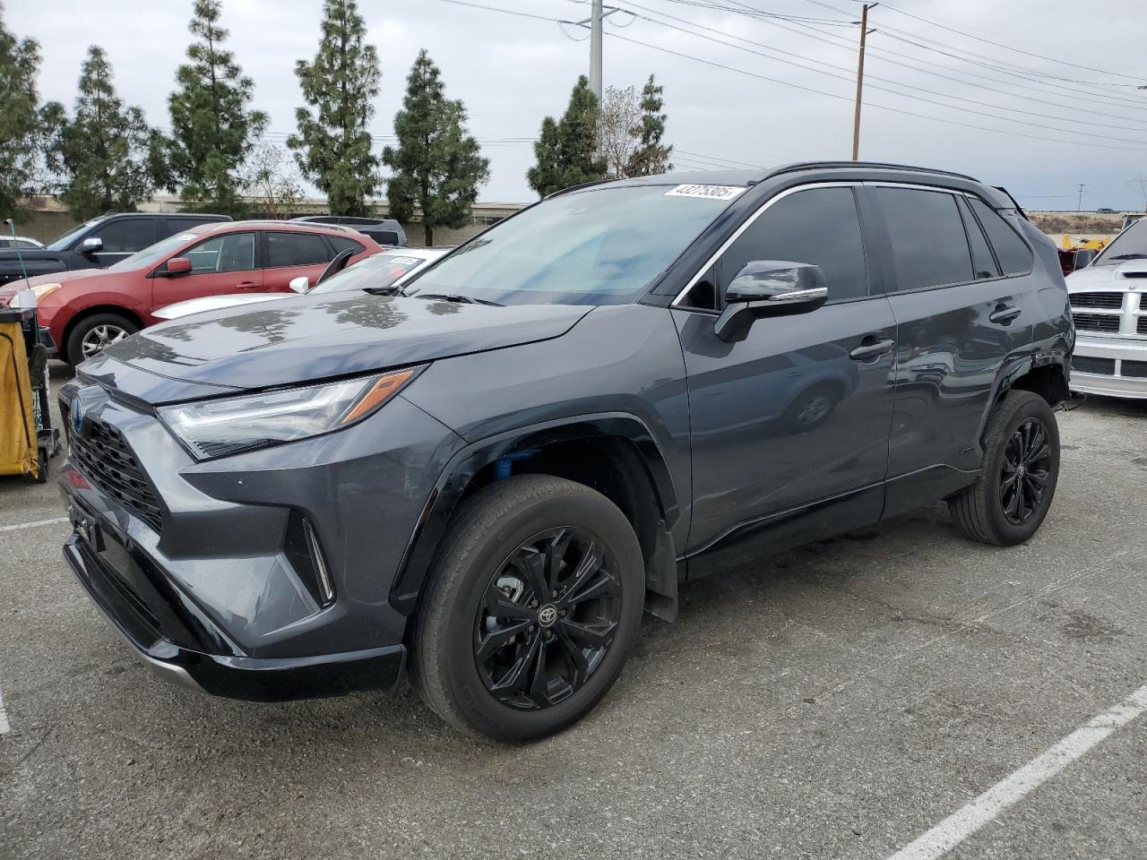 2024 Toyota RAV 4 - Image 1