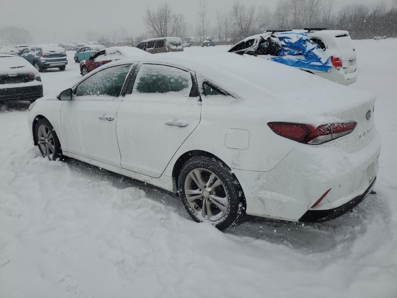 2019 Hyundai Sonata - Image 2