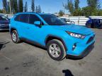 2019 Toyota Rav4 Xle en Venta en Miami, FL - Rear End