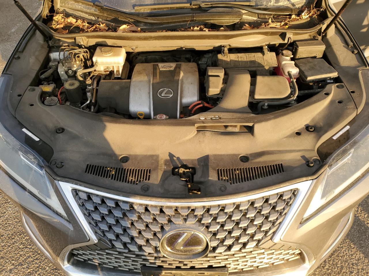 2020 Lexus RX - Image 13