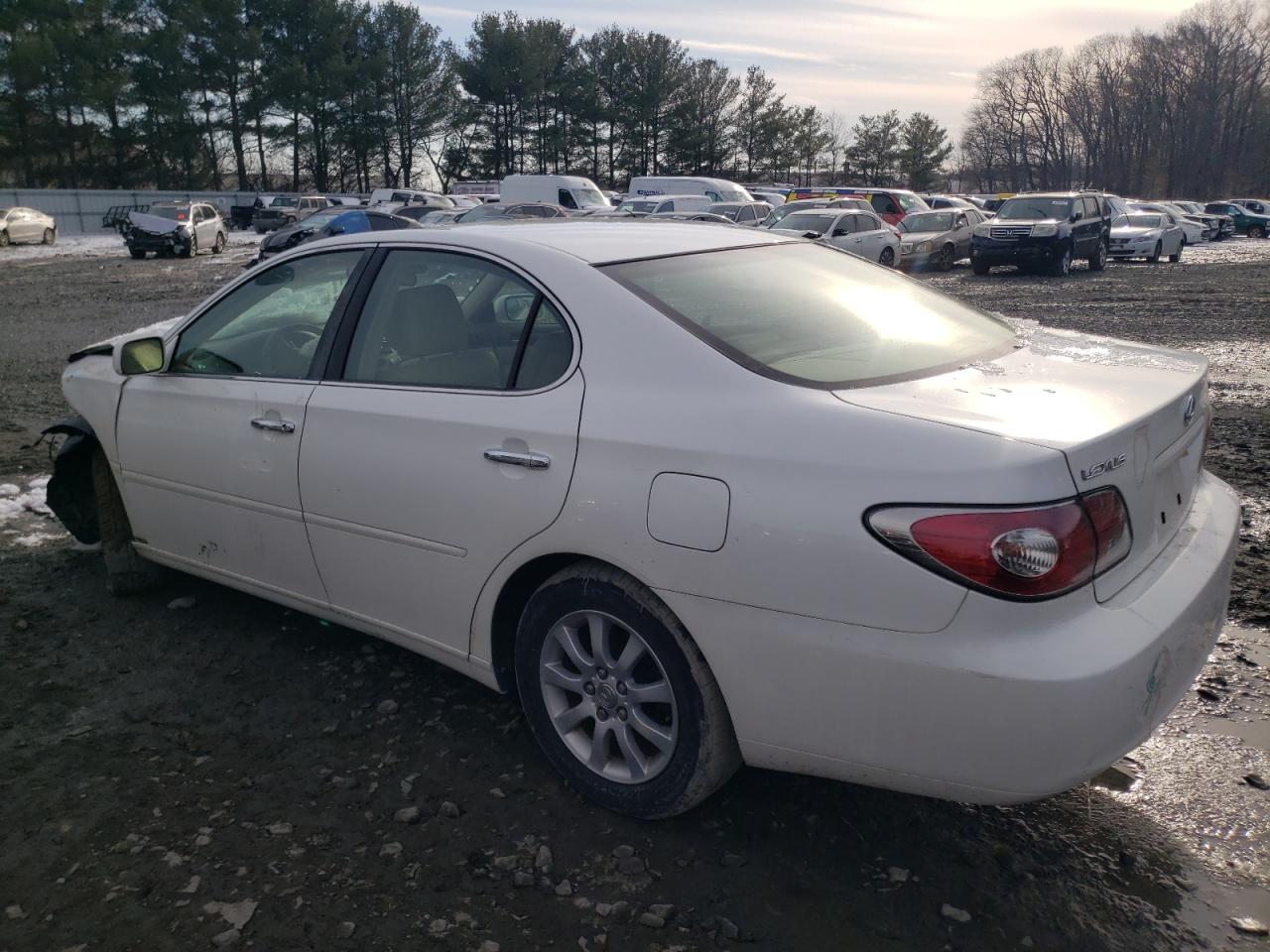 2004 Lexus ES - Image 2