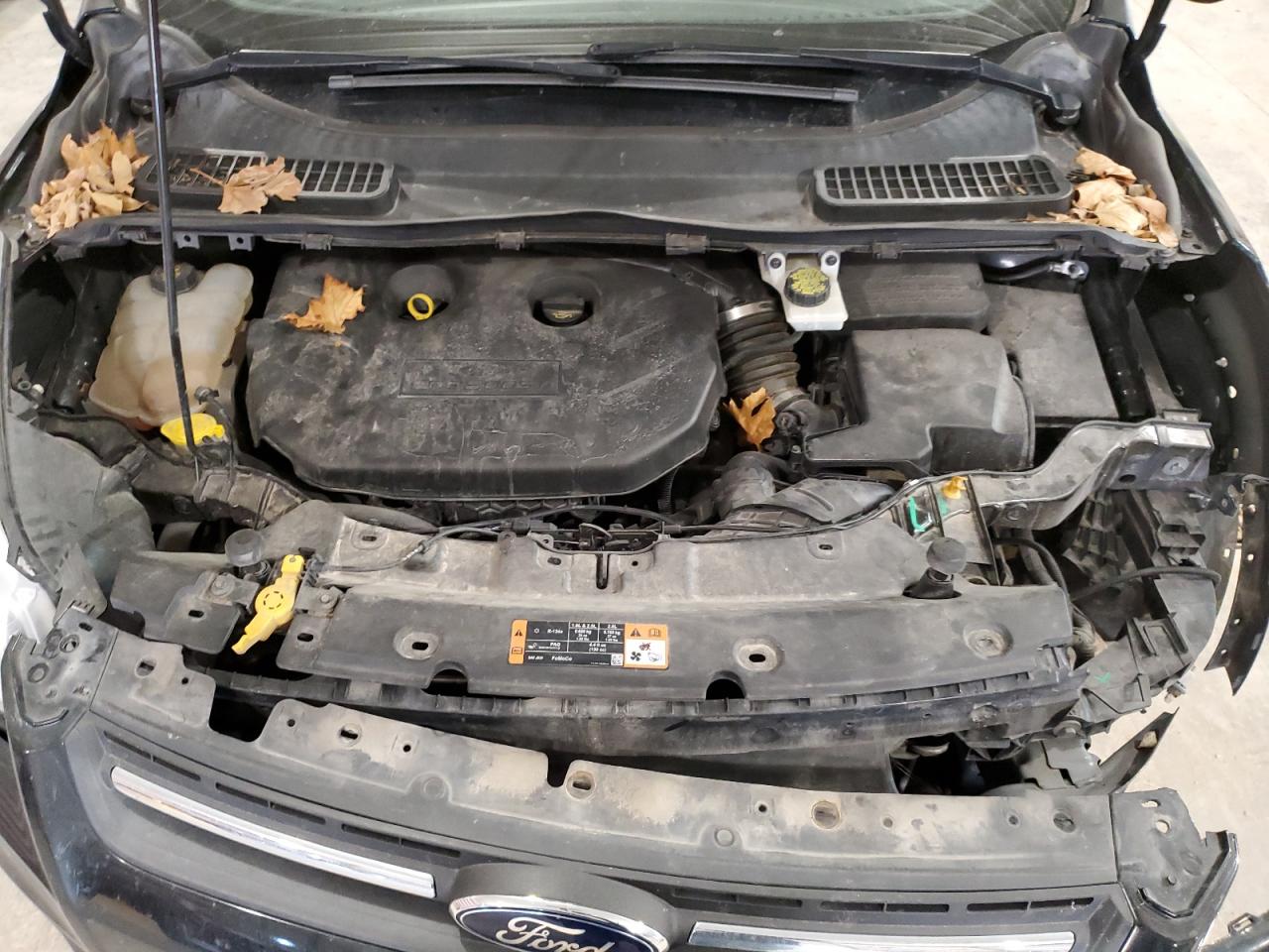 2015 Ford Escape - Image 12