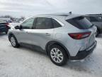 2024 Ford Escape Active for Sale in Kansas City, KS - Front End