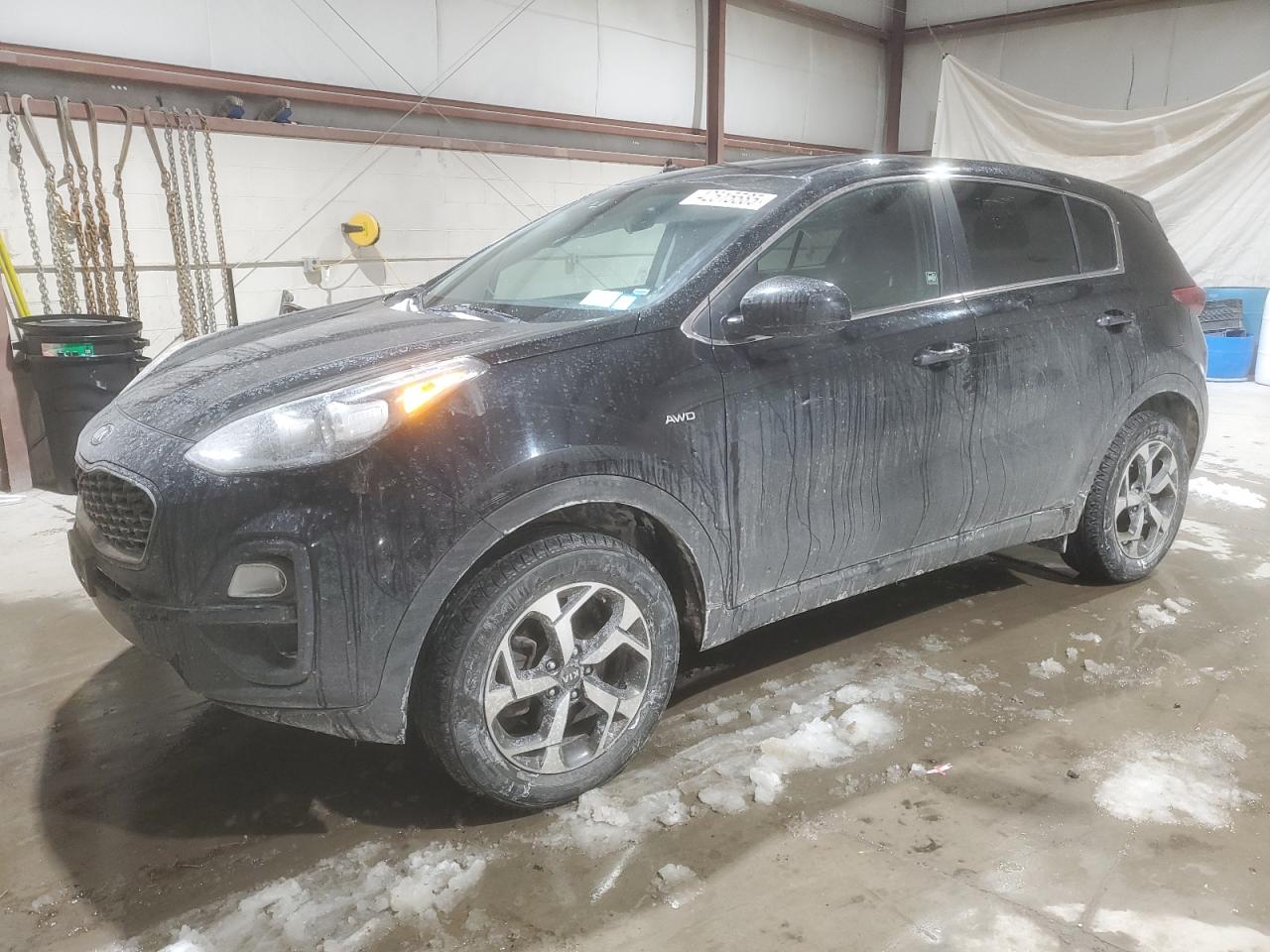 2020 Kia Sportage - Image 1