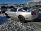 2010 FORD MUSTANG  for sale at Copart NS - HALIFAX