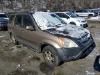 2003 Honda Cr-V Ex იყიდება Marlboro-ში, NY - Minor Dent/Scratches
