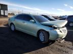 2009 Toyota Camry Hybrid იყიდება Brighton-ში, CO - Vandalism