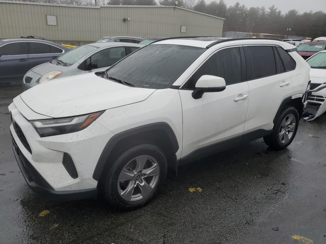 2023 Toyota RAV 4 - Image 1