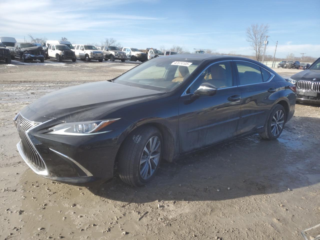 2019 Lexus ES - Image 1
