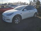 2021 Tesla Model Y  en Venta en Denver, CO - All Over