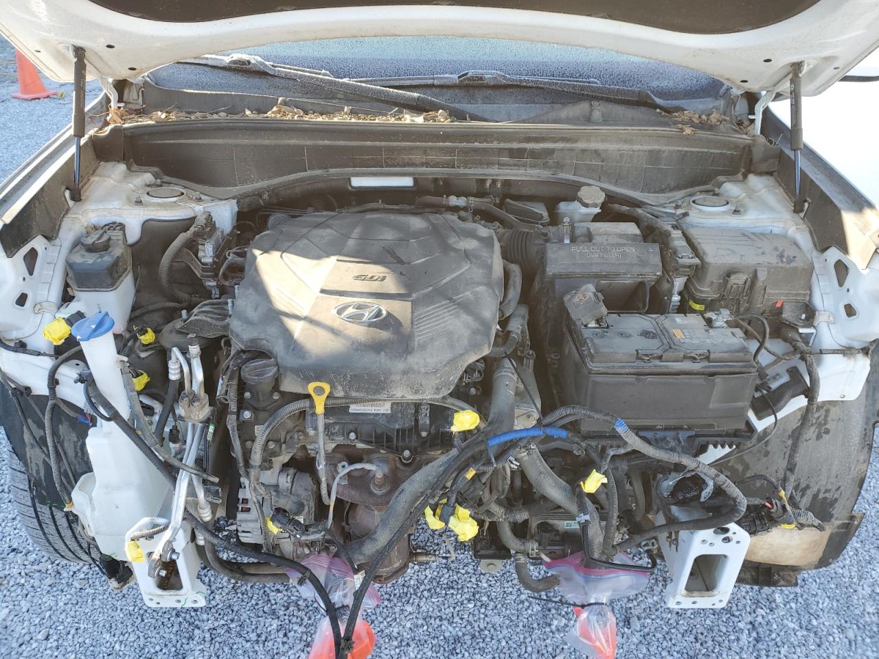 2021 Hyundai Palisade - Image 12