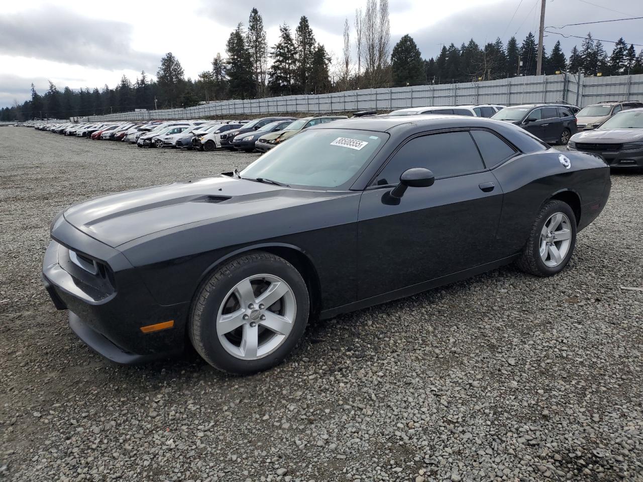 VIN 2C3CDYAG3DH718689 2013 DODGE CHALLENGER no.1