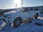 2013 Toyota Tacoma Double Cab Prerunner للبيع في Elgin، IL - Rear End