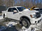 2014 Ford F150 Supercrew de vânzare în Waldorf, MD - Rear End