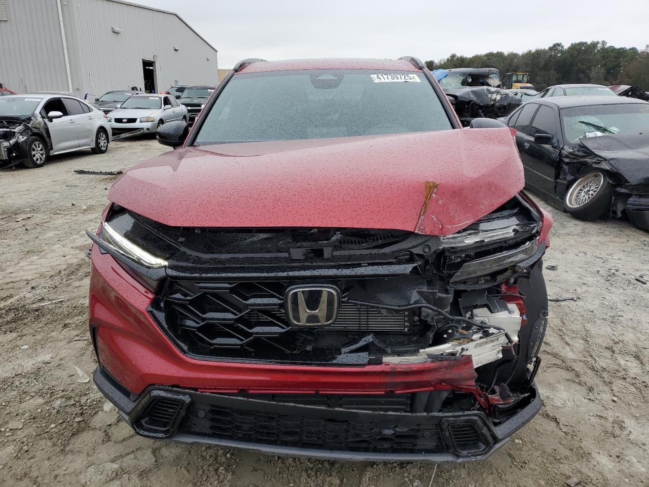 2024 Honda CR-V - Image 5