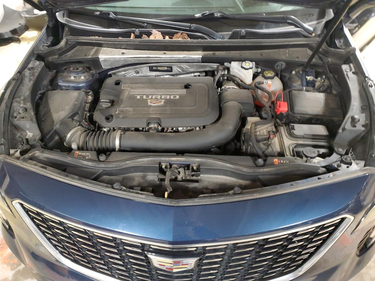 2020 Cadillac Xt4 Premium Luxury VIN: 1GYFZCR44LF146100 Lot: 87683955