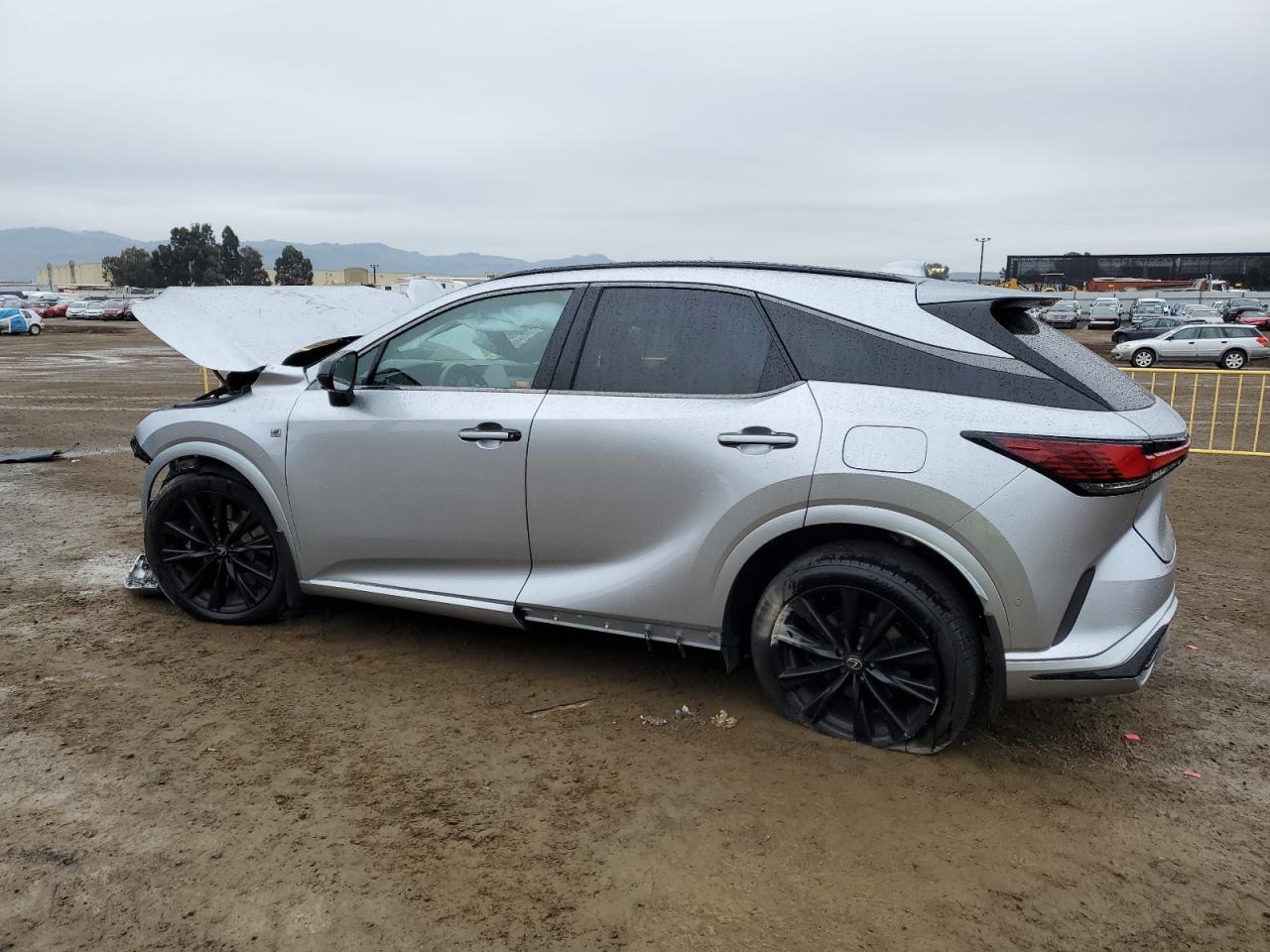 2024 Lexus RX - Image 2