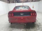 Jacksonville, FL에서 판매 중인 2017 Ford Mustang  - Minor Dent/Scratches
