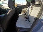 Appleton, WI에서 판매 중인 2024 Ford Escape Active - All Over
