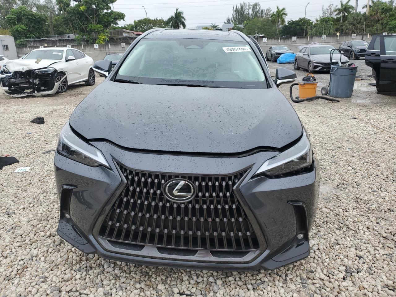 2024 Lexus NX - Image 5