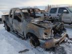 2004 Ford F250 Super Duty zu verkaufen in Anchorage, AK - Burn