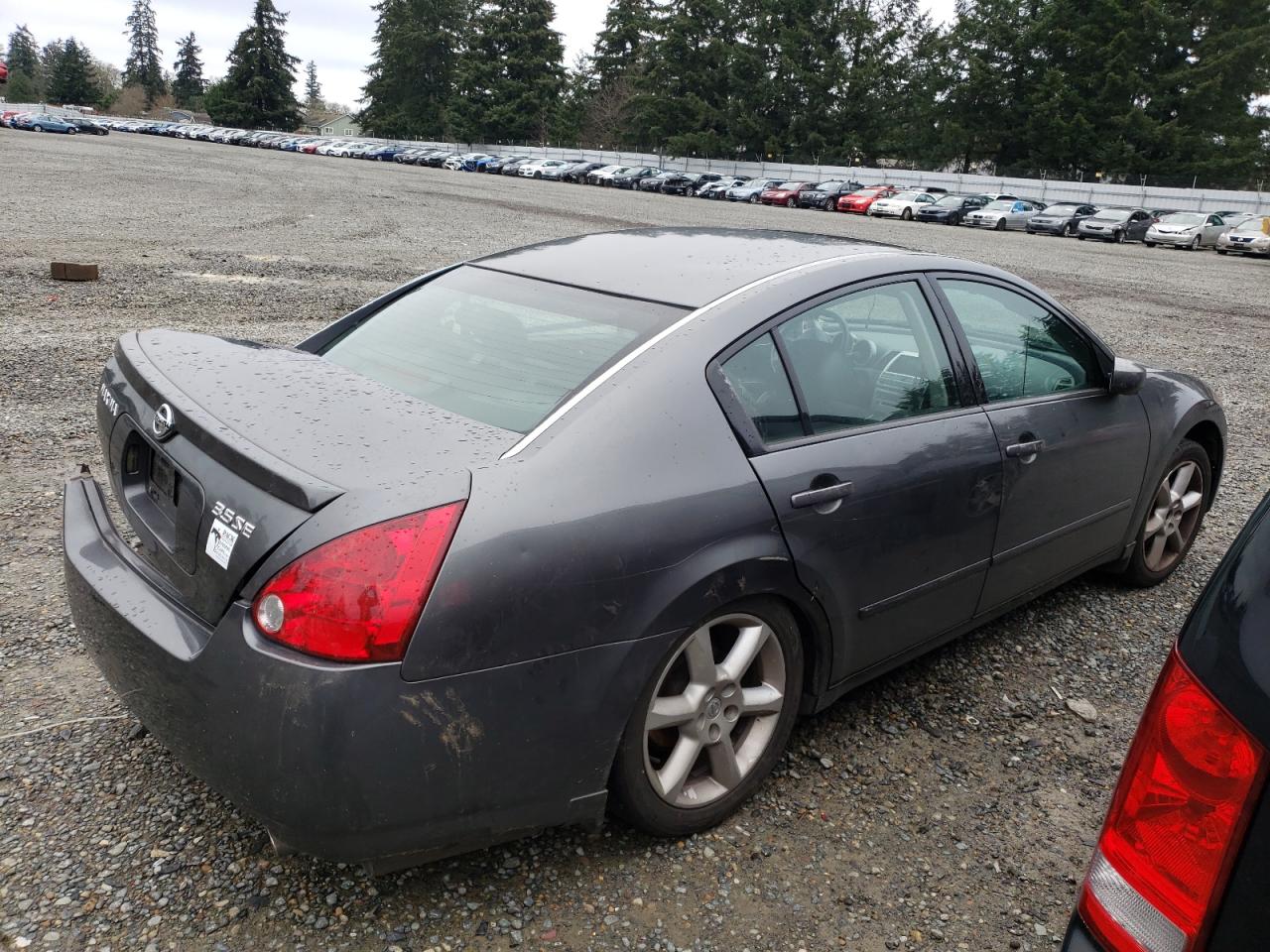 2006 Nissan Maxima - Image 3